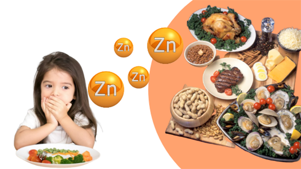 Trẻ bị thiếu kẽm thường có dấu hiệu biếng ăn, rối loạn tiêu hóa...