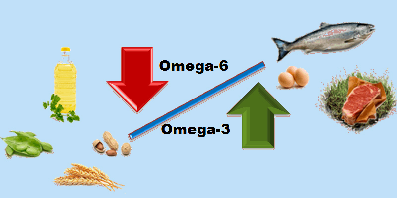 Cân bằng Omega-3 và Omega-6