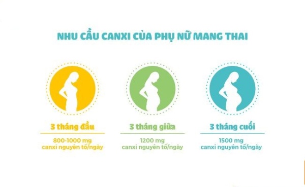 Nhu cầu canxi cho mẹ bầu sẽ tăng lên theo từng giai đoạn
