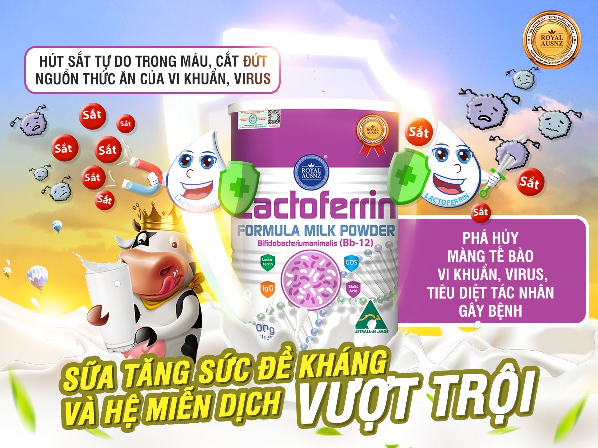 Có nên pha sữa lactoferrin với sữa công thức