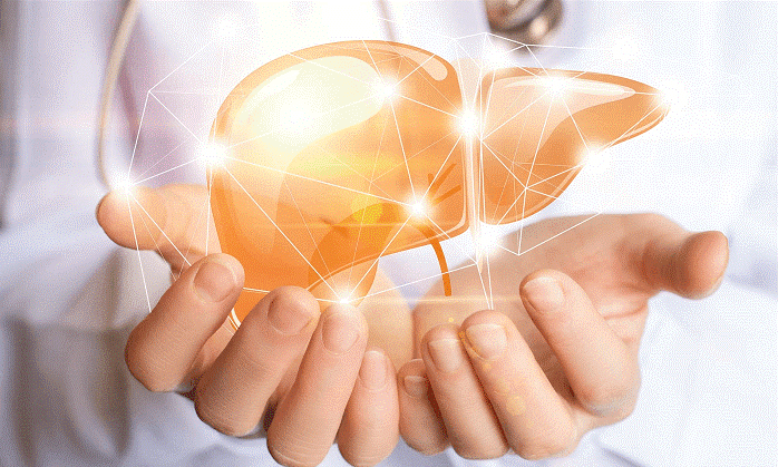 Gan được coi là nhà máy thải độc của cơ thể
