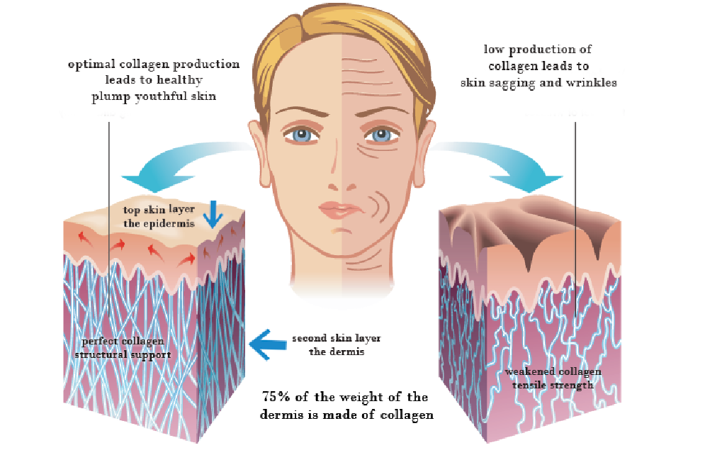 Điểm danh các dạng collagen hiện có trên thị trường