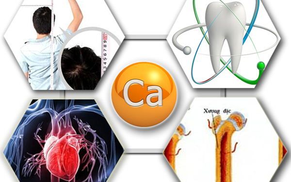 Canxi có vai trò vô cùng quan trọng với cơ thể