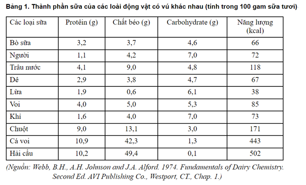  Muốn tăng cân nhanh hơn