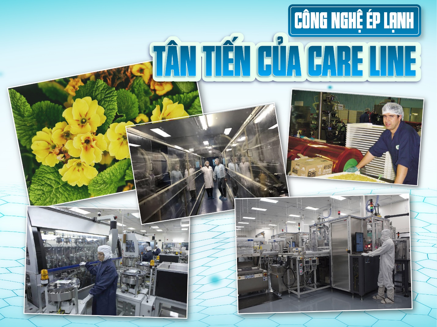 Review khách hàng sử dụng tinh dầu hoa anh thảo Careline công nghệ ép lạnh