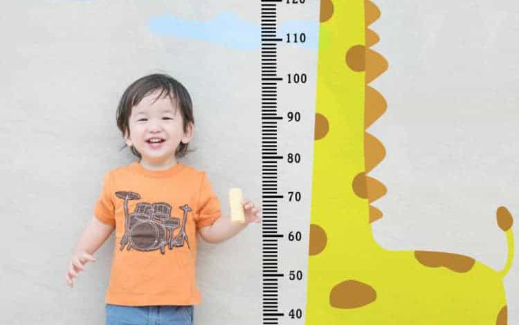 Bé 2 tuổi – giai đoạn vàng để phát triển chiều cao