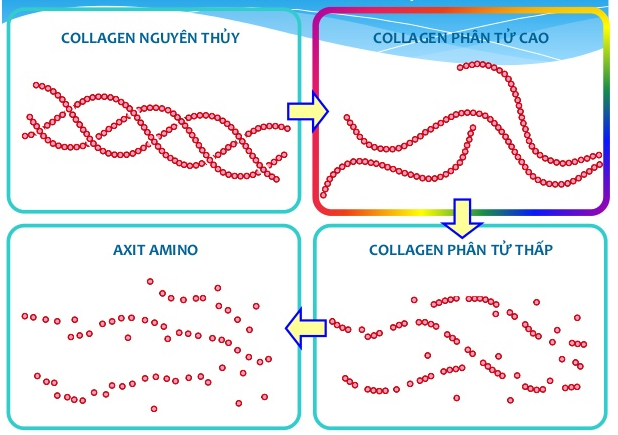 Thứ hai: Được sản xuất bằng công nghệ sinh học Bio