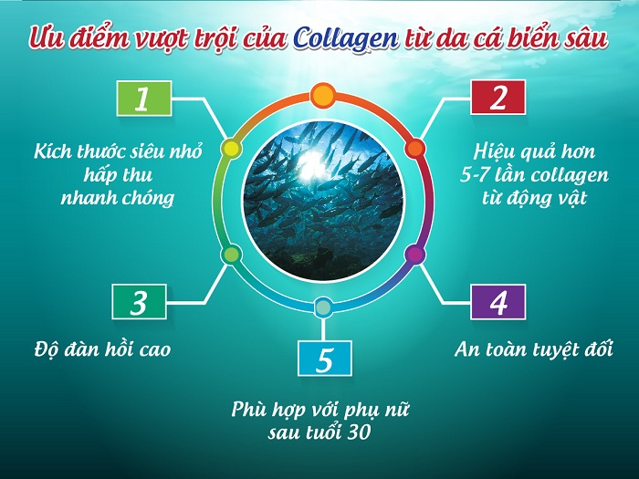 Thứ nhất: Là collagen cá biển giúp hấp thu nhanh, hiệu quả cao và an toàn