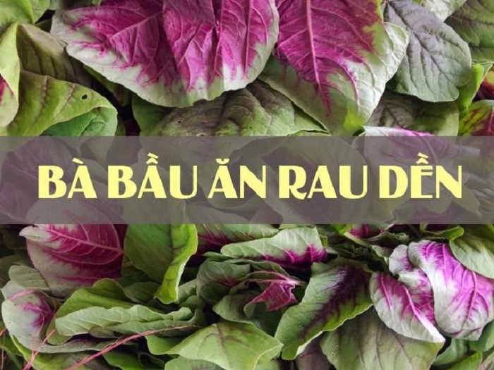 Bà bầu nên bổ sung rau dền để giải nhiệt và cung cấp canxi tự nhiên hiệu quả