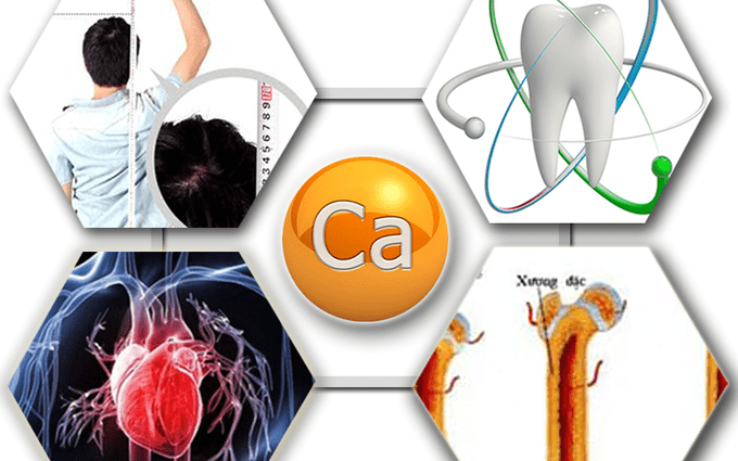 Điểm mặt canxi có công dụng gì đối với cơ thể người